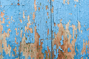 Vintage wood texture background. Natural wood texture.