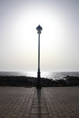 Bird on a waterfront promenade sea scenic and blue sky