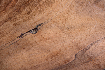 Close up of brown wooden plank texture background