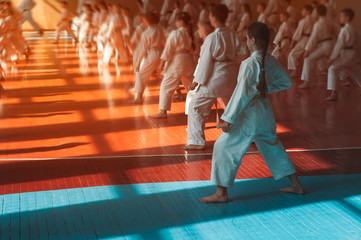 A teenage girl with a yellow belt in a karate class trains a direct kick. Beautiful morning light. Oriental martial arts. Children's training. No faces. With place for text. © Uladzimir
