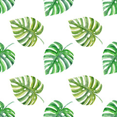 Watercolor tropical floral greenery seamless pattern on white background. Exotic florals. Monstera leaves wallpaper