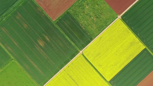 Aerial view of colorful square fields