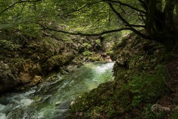 Mostnica - Klamm