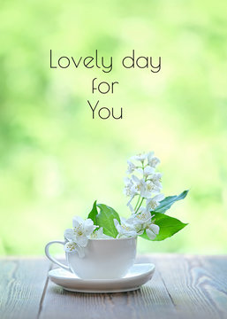 Fototapeta Lovely day for You. Cup and Jasmine flowers on wooden table. gentle blossom spring season