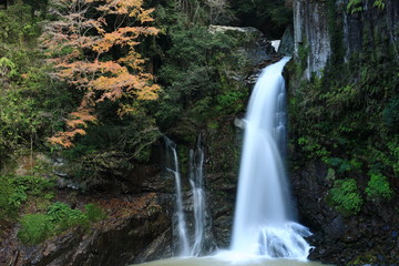 Naklejka premium 河津七滝 大滝