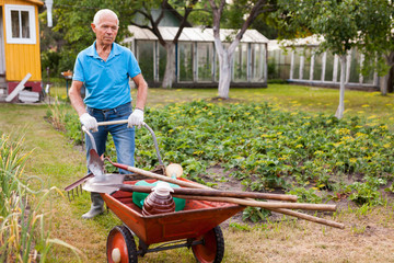 Senior man carrying garden tools in a wheelbarrow
