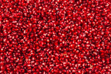 Christmas decoration, red ball isolated on white background.