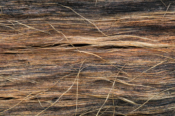 wooden texture background