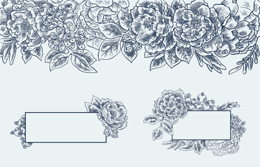 peonies and rose vector sketch