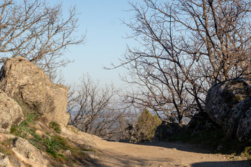 Fototapeta na wymiar Landscape of the Sierra de Madrid
