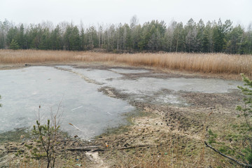 A large lake in the forest is drying up.