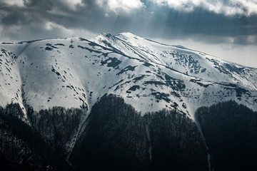 Snowy hills with naked forest in spring mountains. Landscape photography
