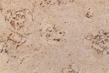 Structural wall for interior design.