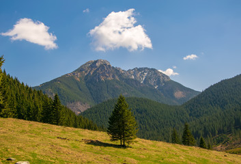 Beautiful Chocholowska Clearing with mountains in the background, Tatra Mountains, Poland