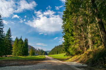 Dirt road in Koscieliska Valley in Tatra Mountains, Poland