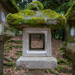Stone lantern in Kasuga Taisha Park of Nara in summer