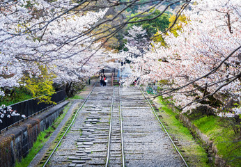 春の京都　蹴上インクライン