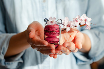 Young beautiful girl in blue shirt is holding in her hands a stack of delicious homemade french macarons - traditional french dessert. Concept of fragile beauty, tenderness, floral wedding decor - Powered by Adobe