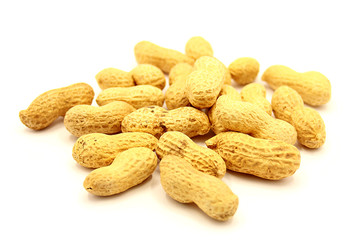 Inshell Roasted Peanuts Isolated on White Background