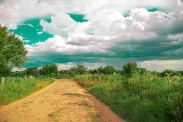 Fototapeta na wymiar Rural landscape in summer afternoon with the arrival of rain clouds in southern Brazil
