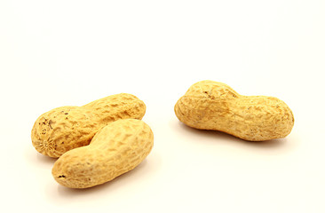 Inshell Roasted Peanuts Isolated on White Background