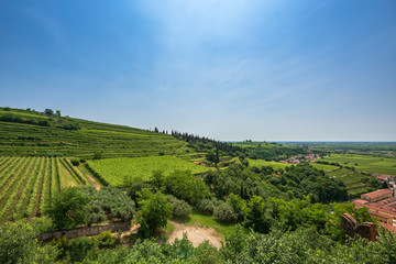 Naklejka premium Soave, Italy. Country road among the vineyards on the hills.