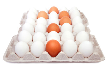 Eggs in paper tray isolated on white