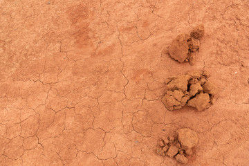 There are three clods on the cracked dry red ground