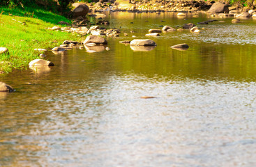 Rural landscape of a freshwater stream in the Municipality of Silveira Martins in Brazil