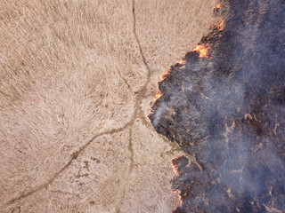 Aerial view of field fire. Dry reed burns, natural disaster.