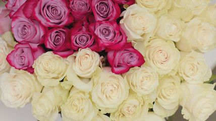 Natural pink and white roses background. Postcard for a holiday. Valentine's day. Mother's Day! Holidays concept. 8. 14.