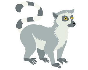 vector illustration of a cute lemur standing on four legs