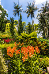 Exotischer Palmengarten