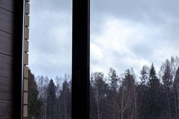 Rainy cloudy day, window view of the forest