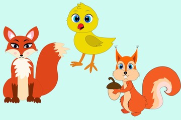 set of chicken cat squirrel animal illustration 