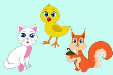 set of chicken cat squirrel animal illustration 