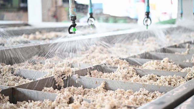 Rubber processing factory,Standard Thailand Rubber STR 20, Block rubber, Rubber rods made from latex. High physical properties.
