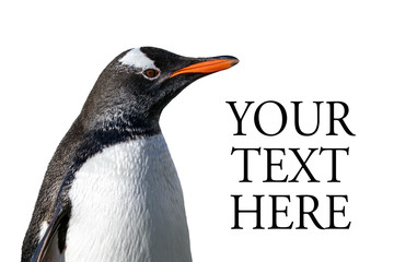 Penguin text space