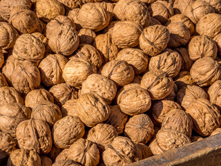 A pile of raw walnuts being sold in a market in Alcazar, Spain