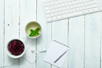 work place with cup of mint tea and succulent plant, top view © tstock