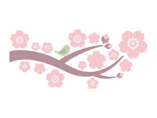 Fototapeta premium 素材＿桜と鳥