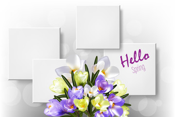 Spring hello, a bouquet of crocus flowers. Design for poster, postcard.