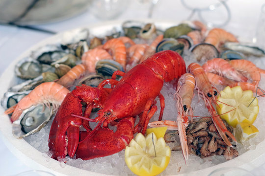 Plat de fruits de mer pour les f&ecirc;tes de No&euml;l