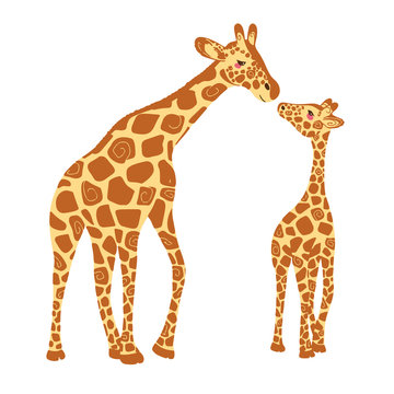 Two cute giraffes isolated on a white background. Baby giraffe and adult giraffe. Vector