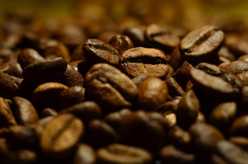Macro coffee beans in close up.