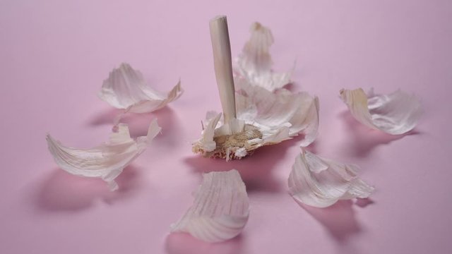Husk and peeling garlic creatively laid on a delicate pink background. The idea of using food for decoration of restaurants and cafes
