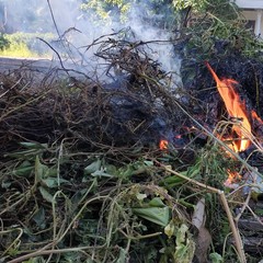 burning rubbish and wild plants, smoke rising into the air