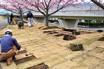 芝生はり工事