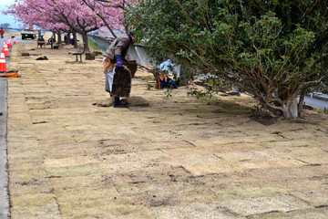 芝生はり工事