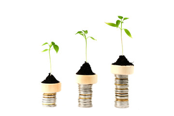 Fototapeta na wymiar growing money concept. small plants is on the coins in the form of chart